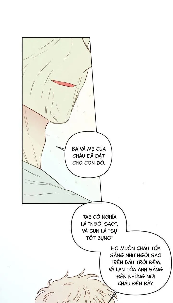 Sự quyến rũ của Thần Rắn Chapter 50 Trang 43