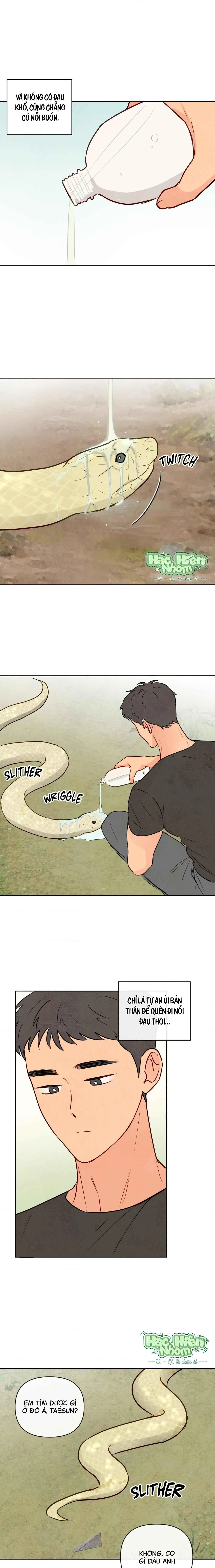 Sự quyến rũ của Thần Rắn Chapter 1 Trang 12