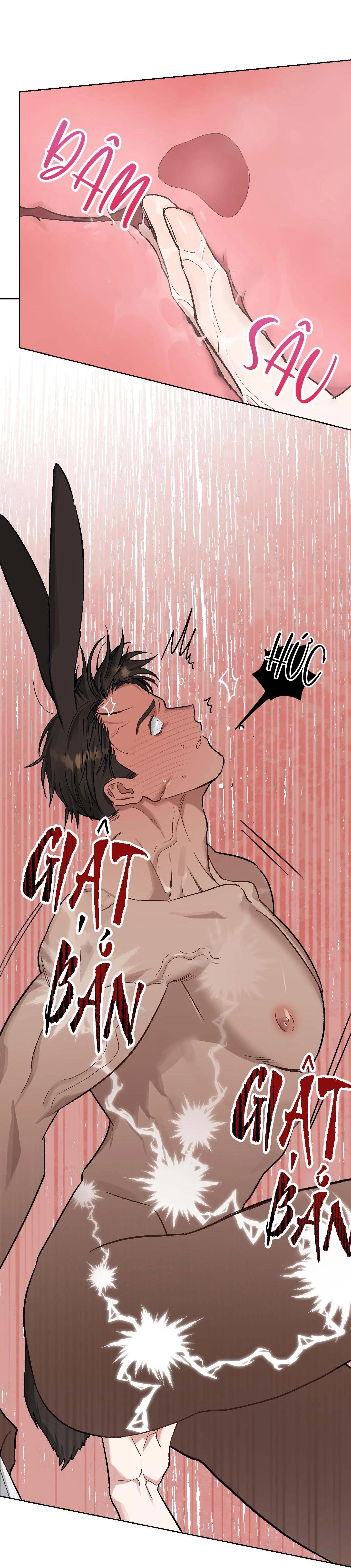 THỎ NHỎ XUẤT TINH TRONG 3 GIÂY (END) Chapter 4 Trang 41