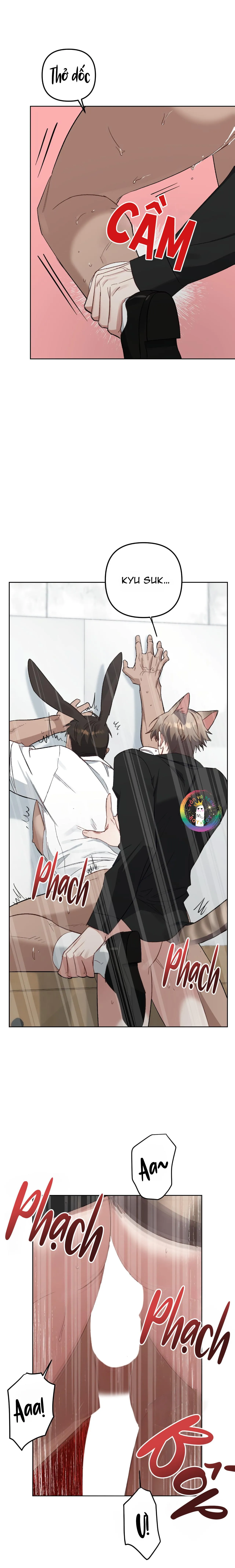 (END) Thỏ Xuất Tinh Trong Vòng 3 Giây Chapter 8 Trang 19