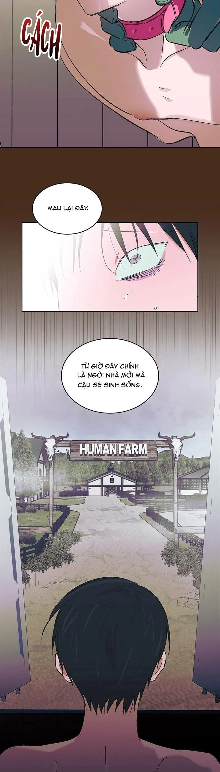 THÚ CƯNG DAMDANG Chapter 8 Trang 5