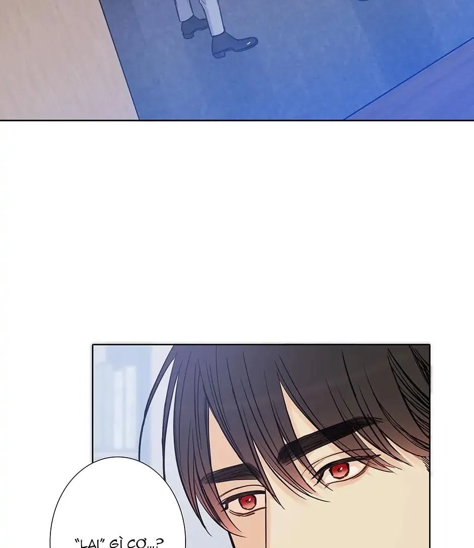 Thú Dữ! Đừng Tự Ý Mở Chuồng (END) Chapter 70 Trang 5