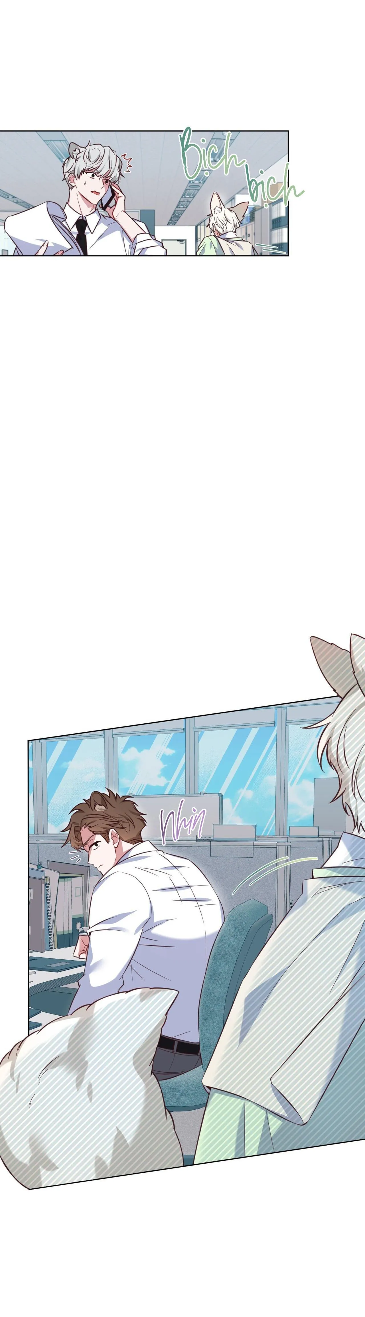 |DROP| Tiệm đồ uống của cáo Flynn Chapter 1 Trang 3