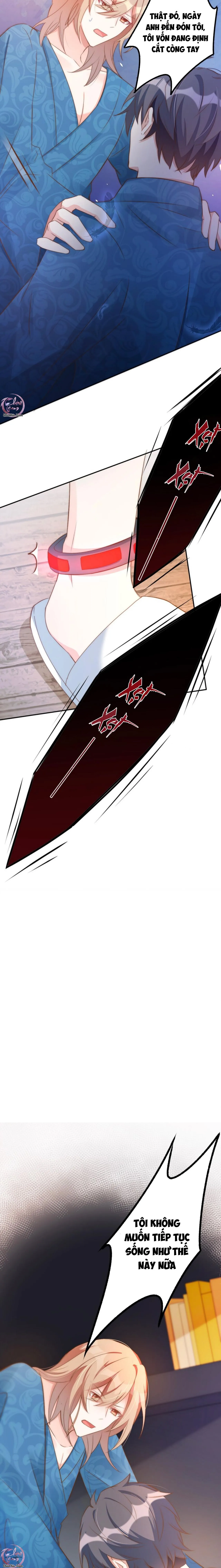 Tín Hiệu Bão (END) Chapter 48 Trang 15