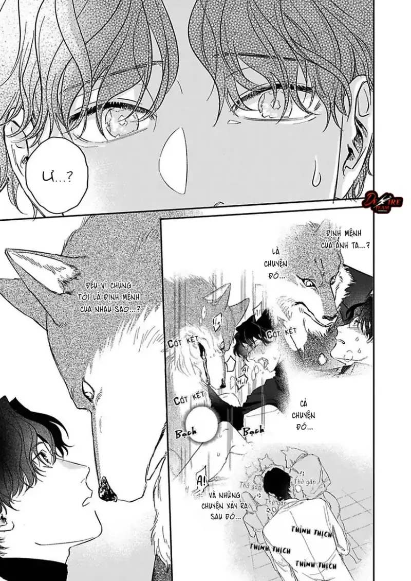 [END] Tình Yêu Mãnh Liệt Của Ngài Sói Chapter 2 Trang 16