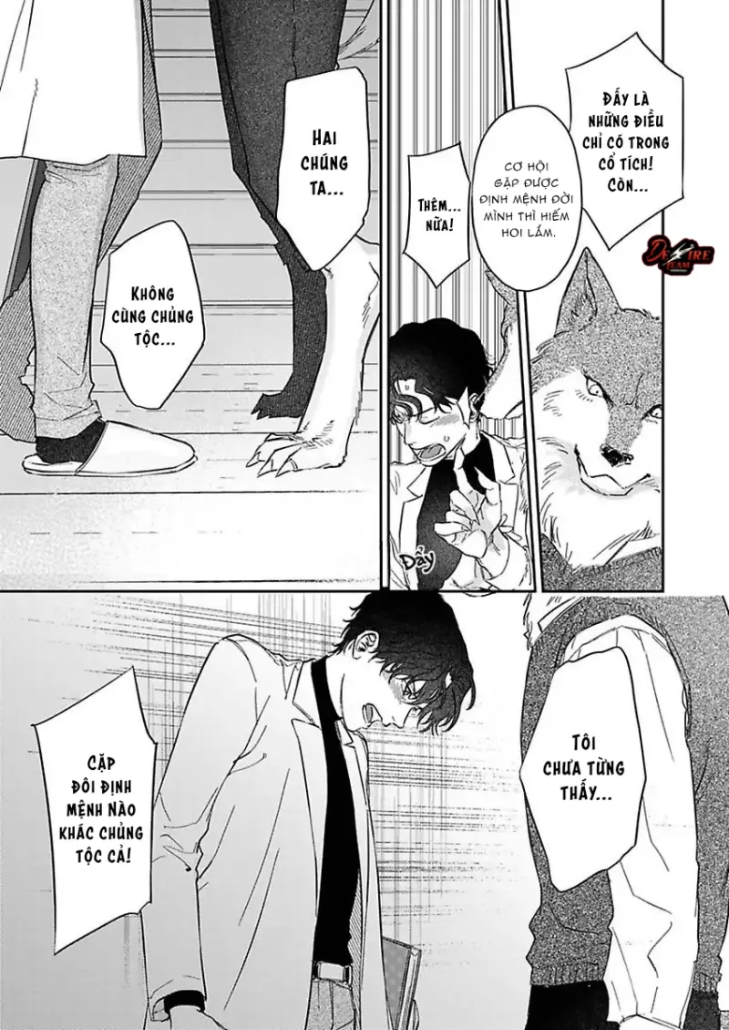 [END] Tình Yêu Mãnh Liệt Của Ngài Sói Chapter 2 Trang 18