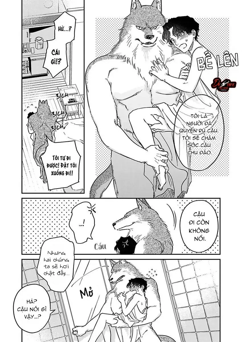 [END] Tình Yêu Mãnh Liệt Của Ngài Sói Chapter 3 Trang 9