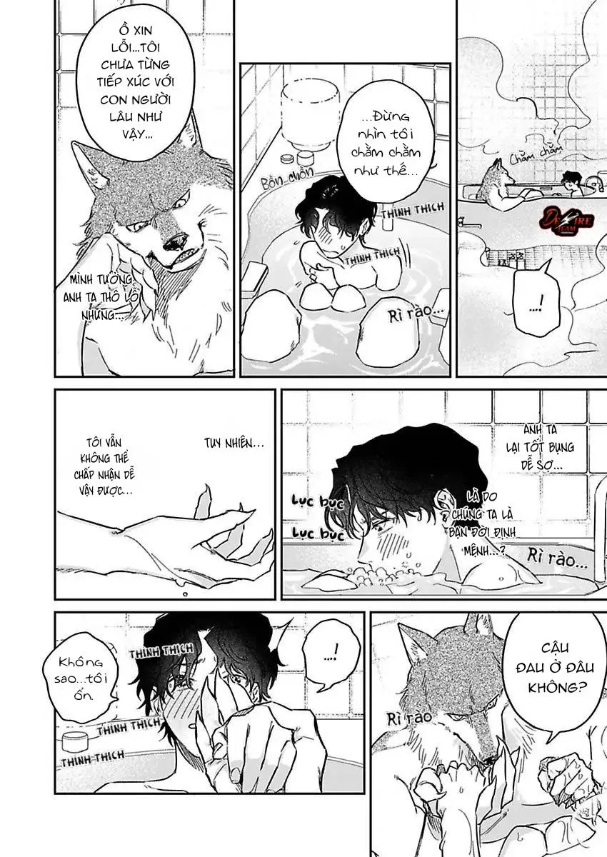 [END] Tình Yêu Mãnh Liệt Của Ngài Sói Chapter 3 Trang 11
