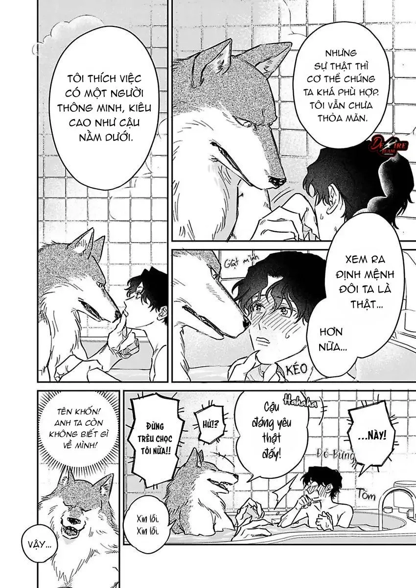 [END] Tình Yêu Mãnh Liệt Của Ngài Sói Chapter 3 Trang 13