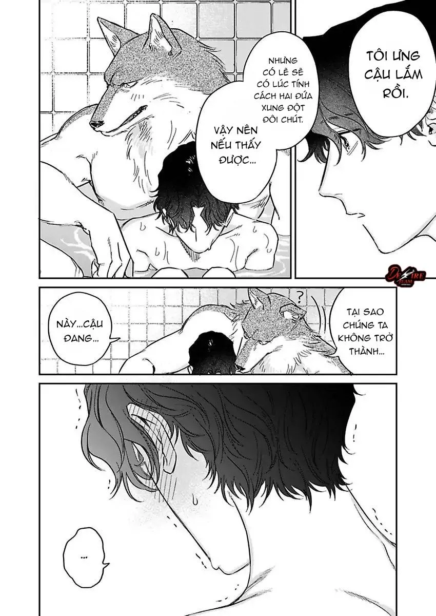 [END] Tình Yêu Mãnh Liệt Của Ngài Sói Chapter 3 Trang 17