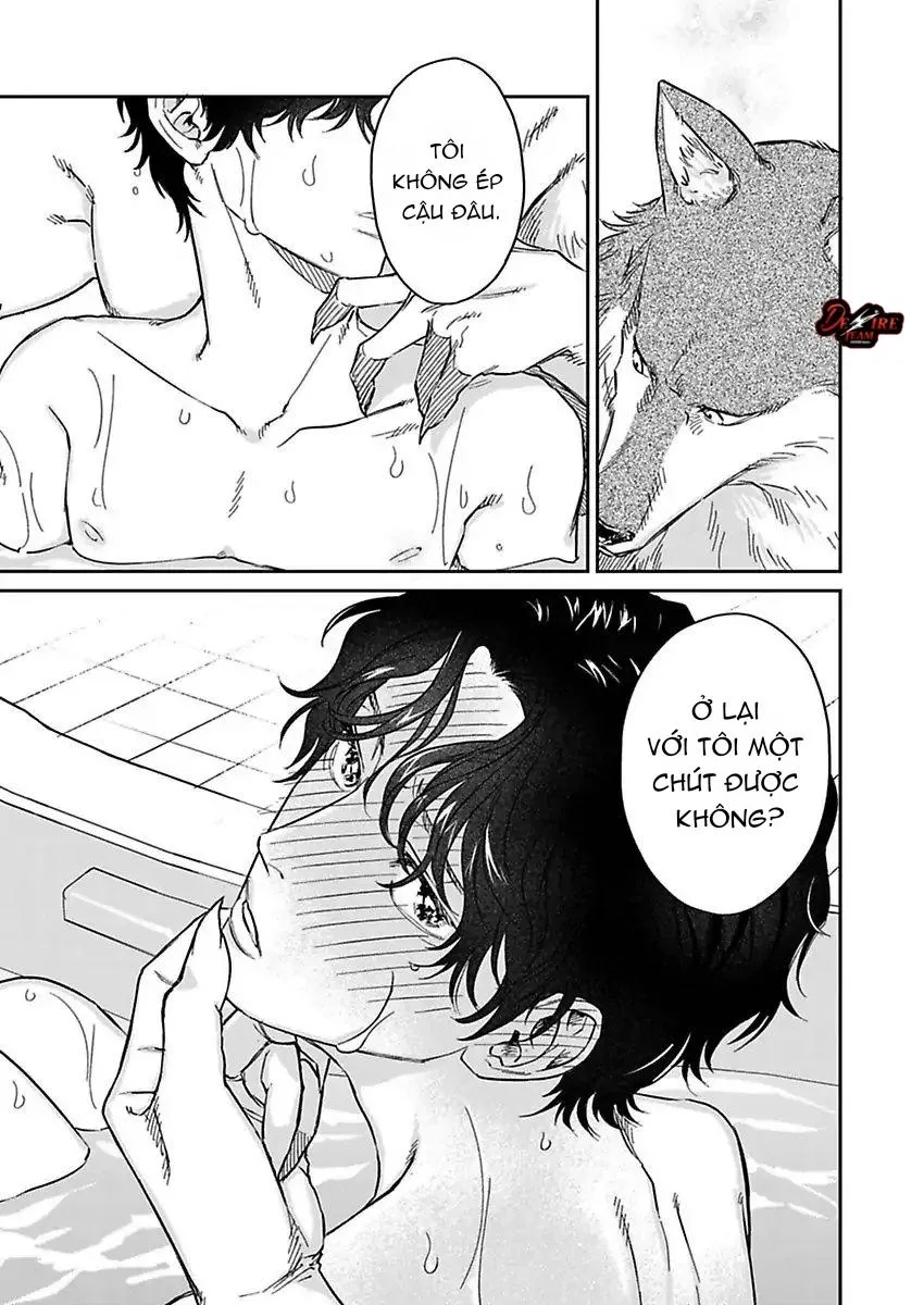 [END] Tình Yêu Mãnh Liệt Của Ngài Sói Chapter 3 Trang 18