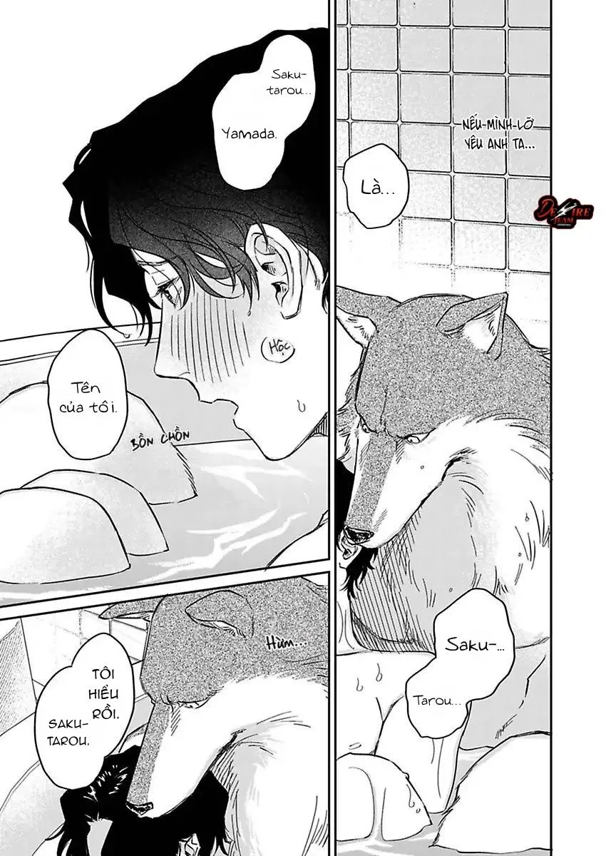 [END] Tình Yêu Mãnh Liệt Của Ngài Sói Chapter 3 Trang 22