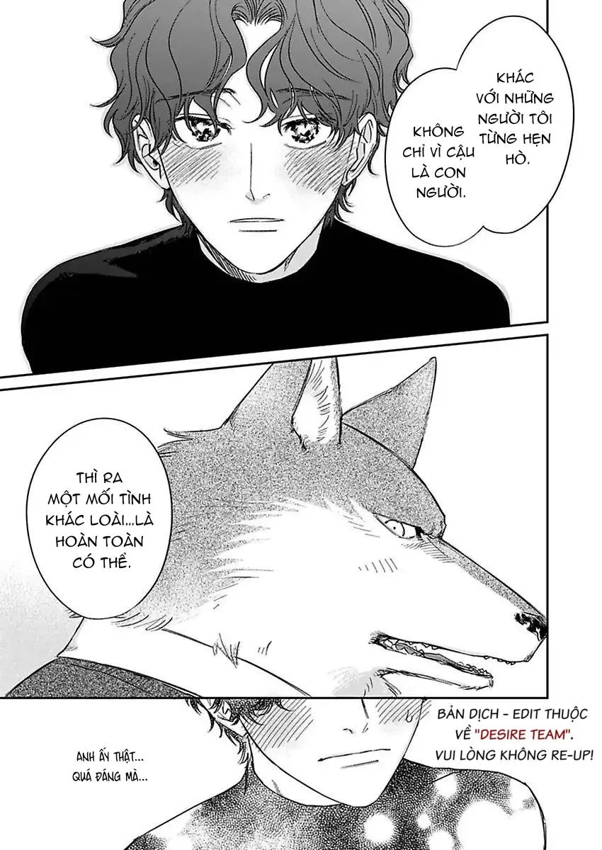[END] Tình Yêu Mãnh Liệt Của Ngài Sói Chapter 4 Trang 16