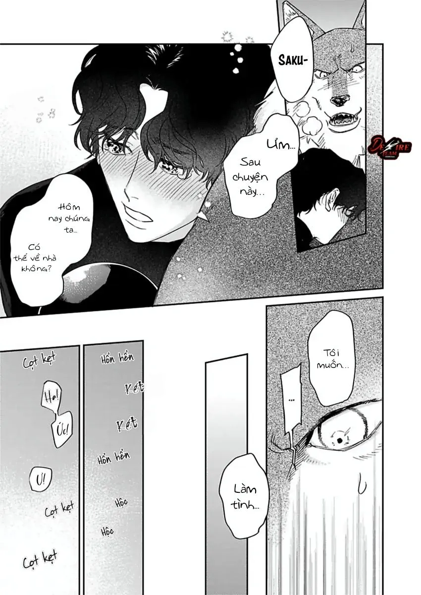 [END] Tình Yêu Mãnh Liệt Của Ngài Sói Chapter 4 Trang 18