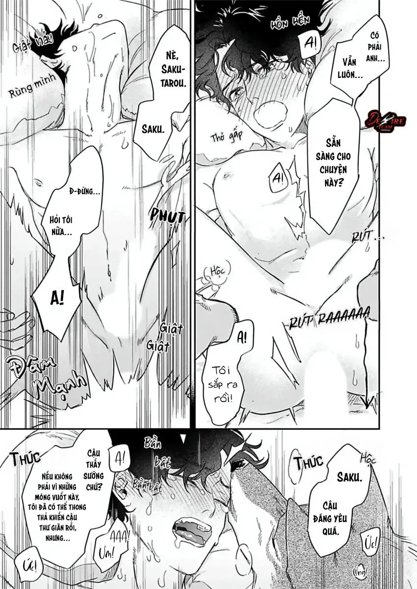 [END] Tình Yêu Mãnh Liệt Của Ngài Sói Chapter 4 Trang 20