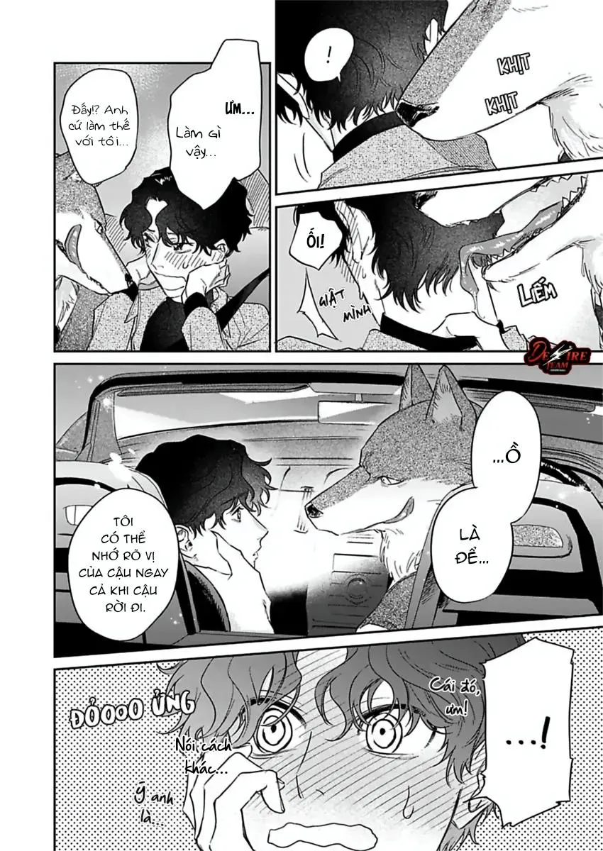 [END] Tình Yêu Mãnh Liệt Của Ngài Sói Chapter 4 Trang 25