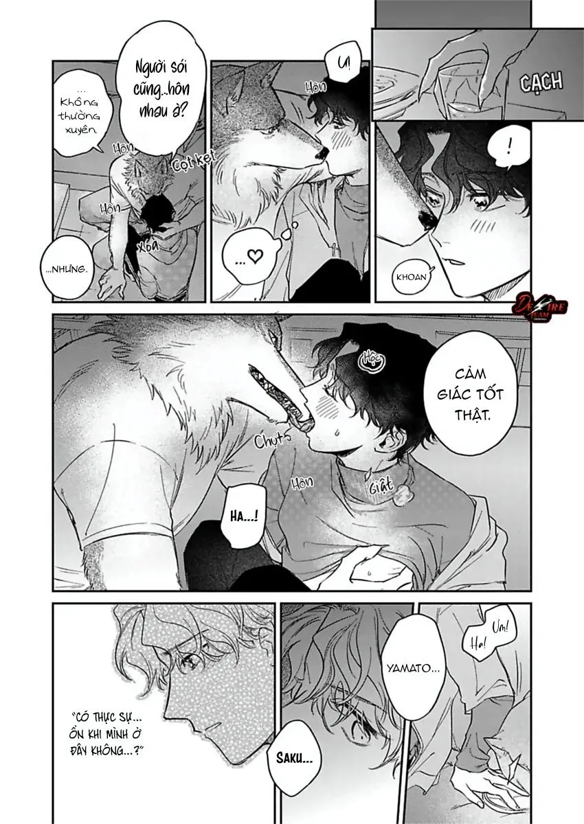 [END] Tình Yêu Mãnh Liệt Của Ngài Sói Chapter 5 Trang 15