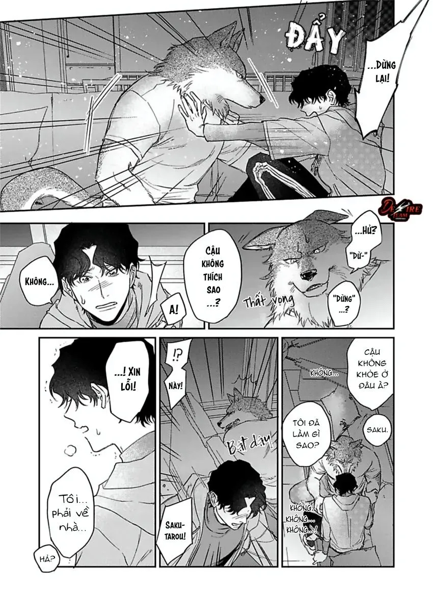 [END] Tình Yêu Mãnh Liệt Của Ngài Sói Chapter 5 Trang 16