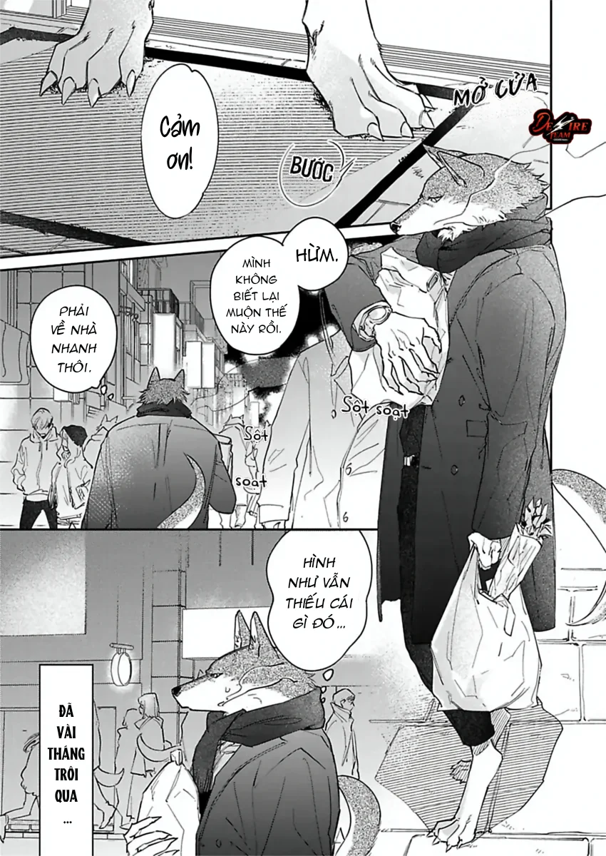 [END] Tình Yêu Mãnh Liệt Của Ngài Sói Chapter 7 Trang 5
