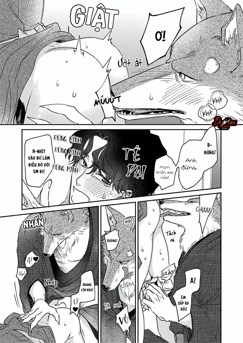 [END] Tình Yêu Mãnh Liệt Của Ngài Sói Chapter 7 Trang 25