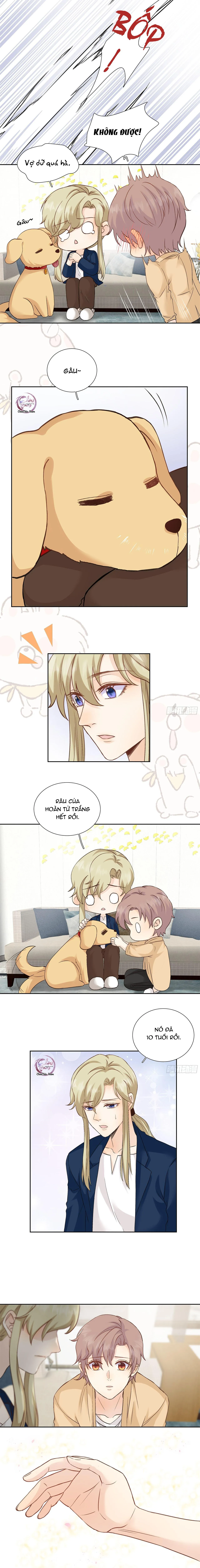 Tôi Nghi Ngờ Cậu Đang Yêu Thầm Tôi (END) Chapter 36 Trang 5