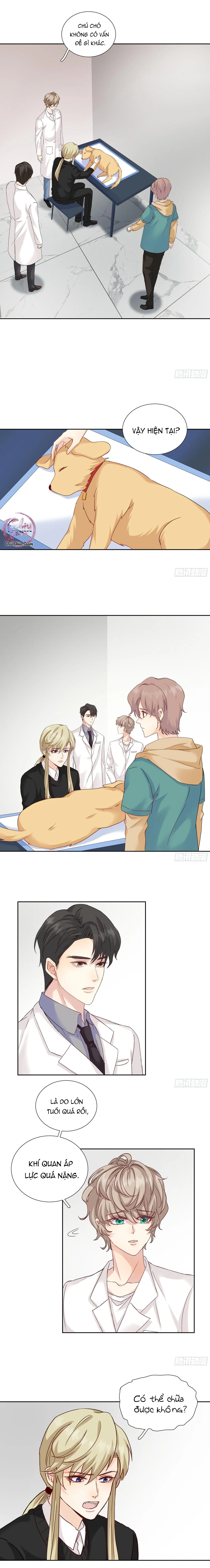 Tôi Nghi Ngờ Cậu Đang Yêu Thầm Tôi (END) Chapter 43 Trang 4