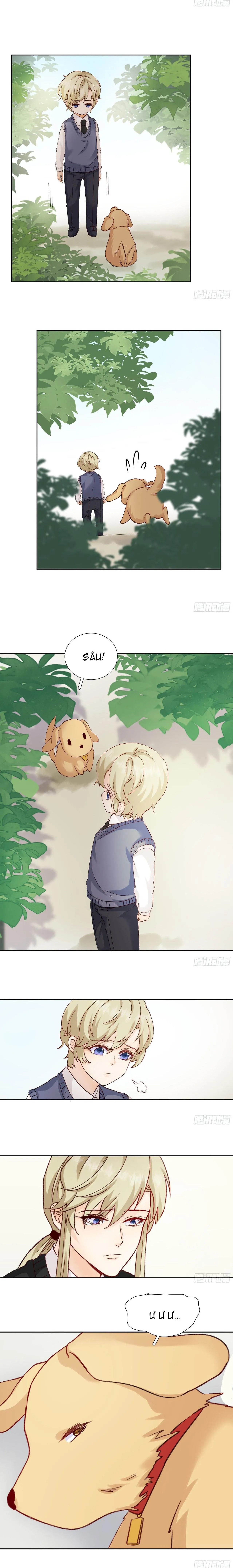 Tôi Nghi Ngờ Cậu Đang Yêu Thầm Tôi (END) Chapter 43 Trang 8