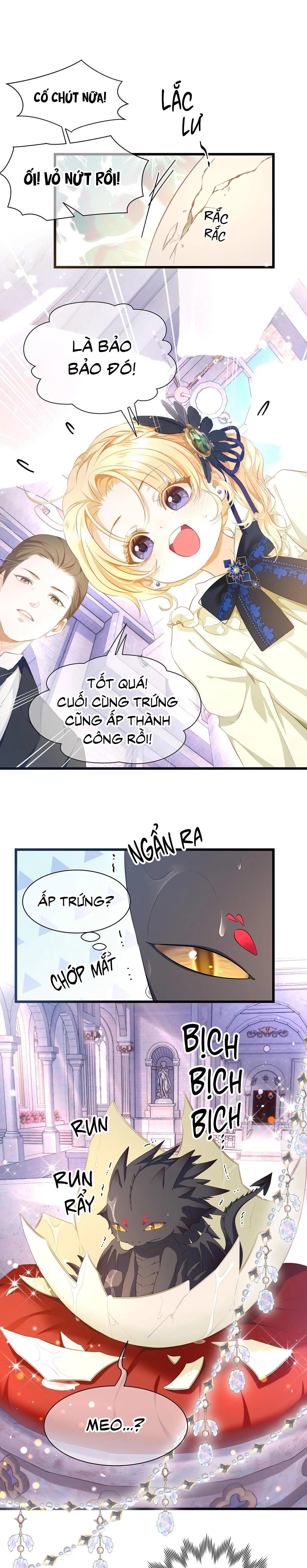 Tôi trùng sinh thành chú rồng đen của vương tử điện hạ Chapter 1 Trang 6