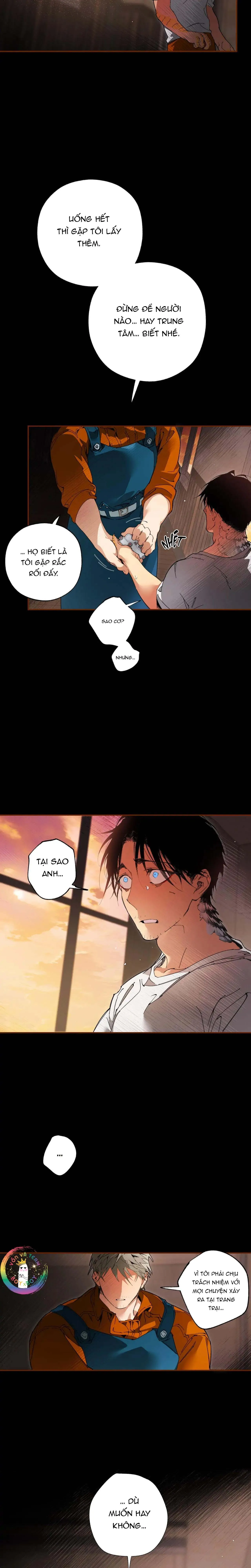 Trang Trại Của Mr.A Chapter 14 Trang 17