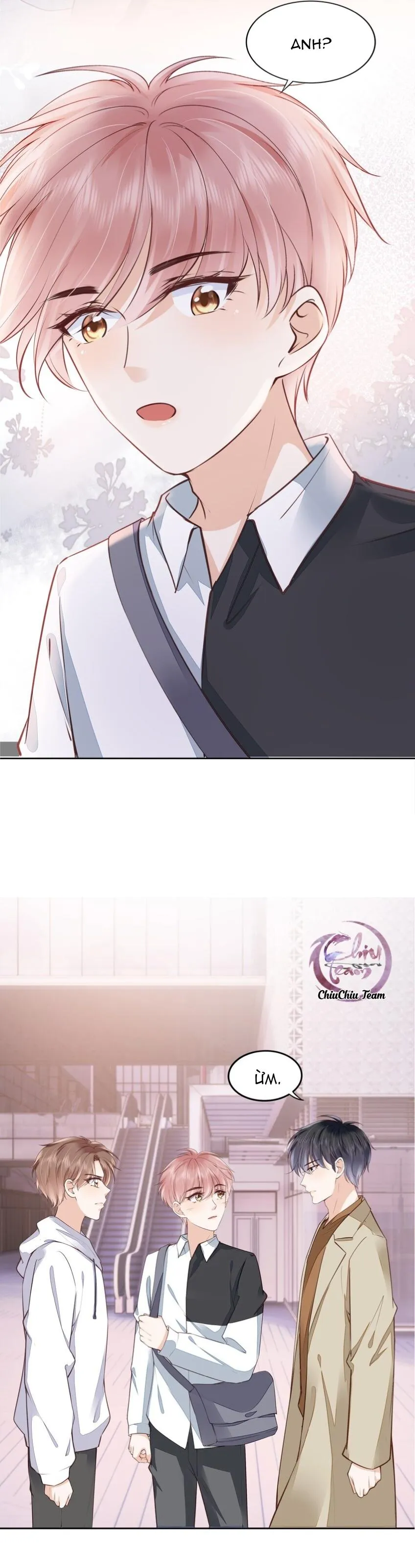 Tri Bỉ (END) Chapter 55 Trang 13