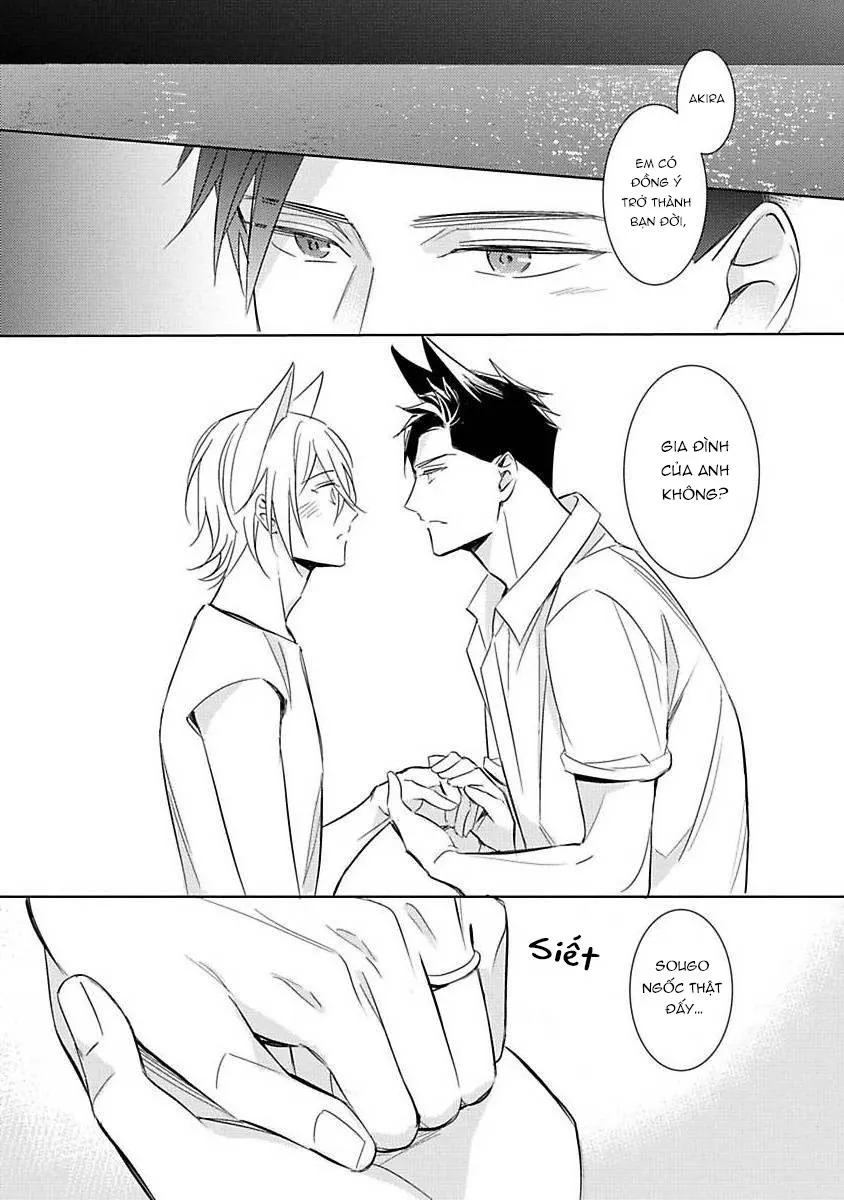 Trong Vòng Tay Anh Chapter 2 Trang 28