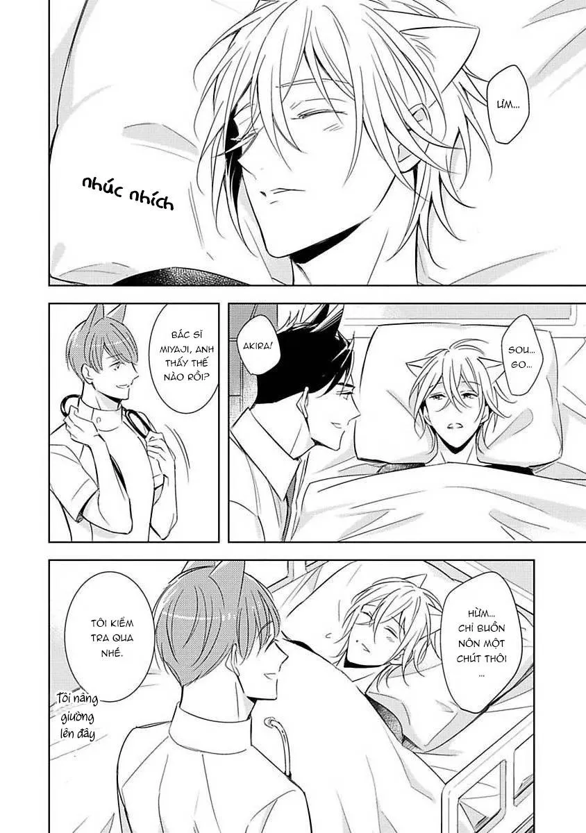 Trong Vòng Tay Anh Chapter 3 Trang 10