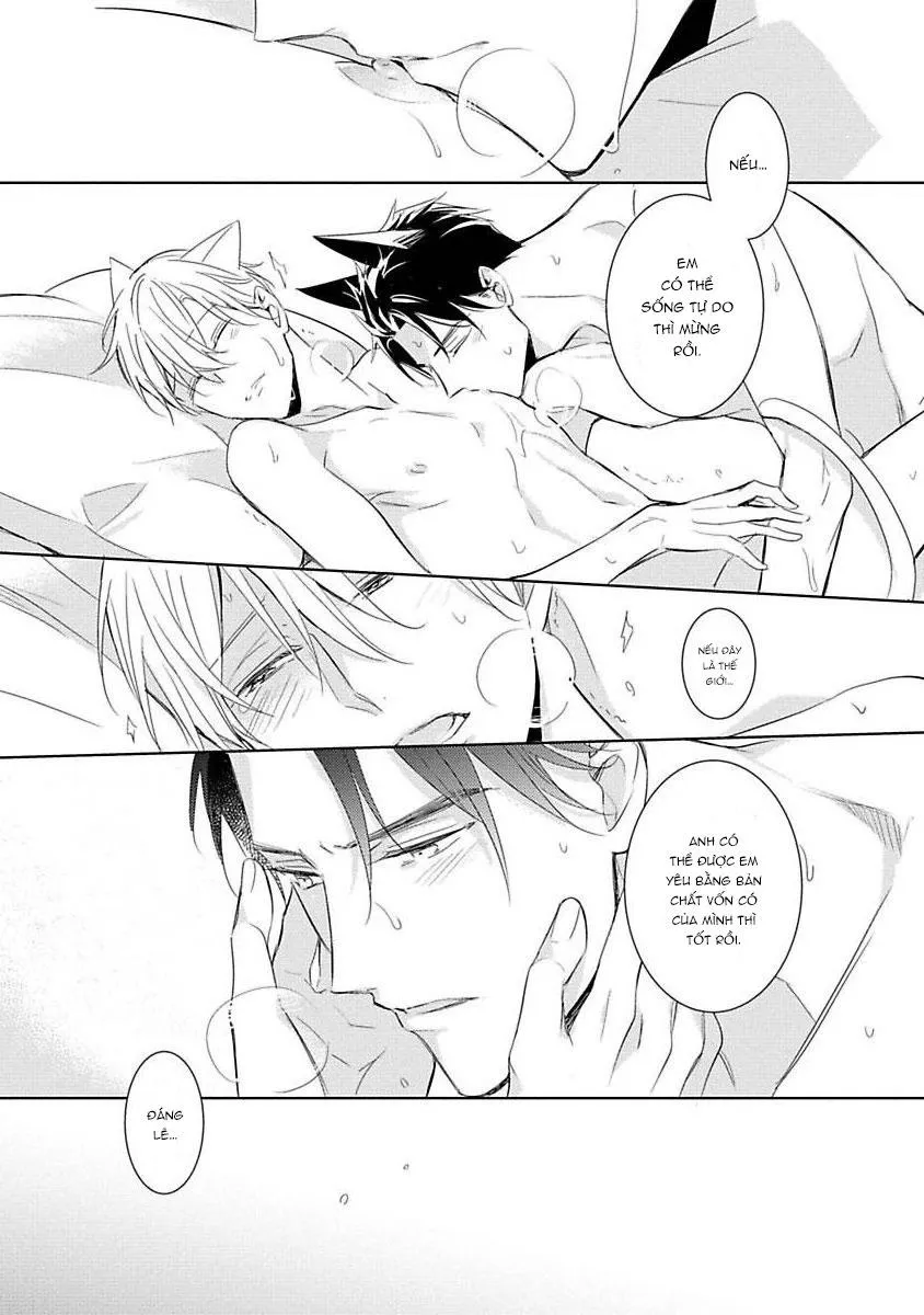 Trong Vòng Tay Anh Chapter 4 Trang 41