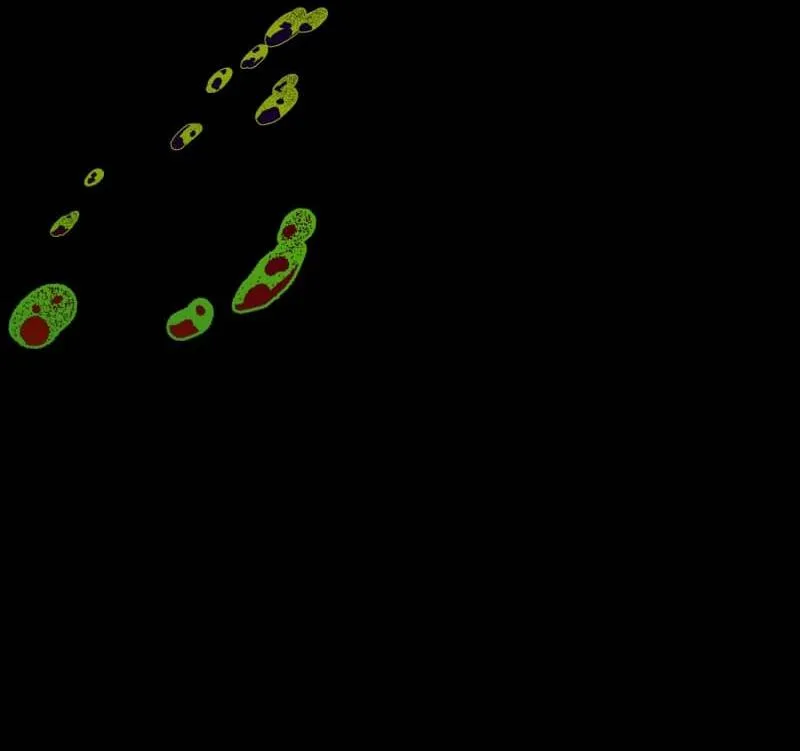 Truyện Ngôn Nhưng Không Ngôn Lắm Chapter 111 Trang 9