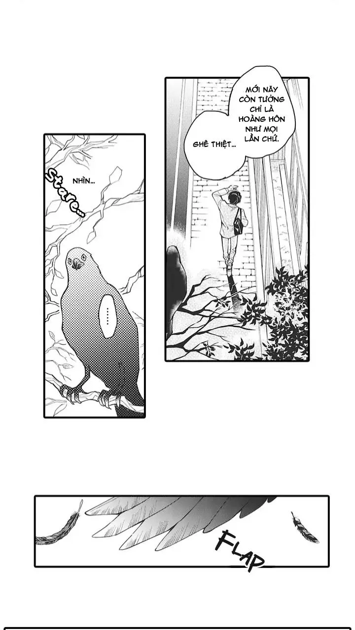 Tình Yêu Và Ác Ma Chapter 1 Trang 5