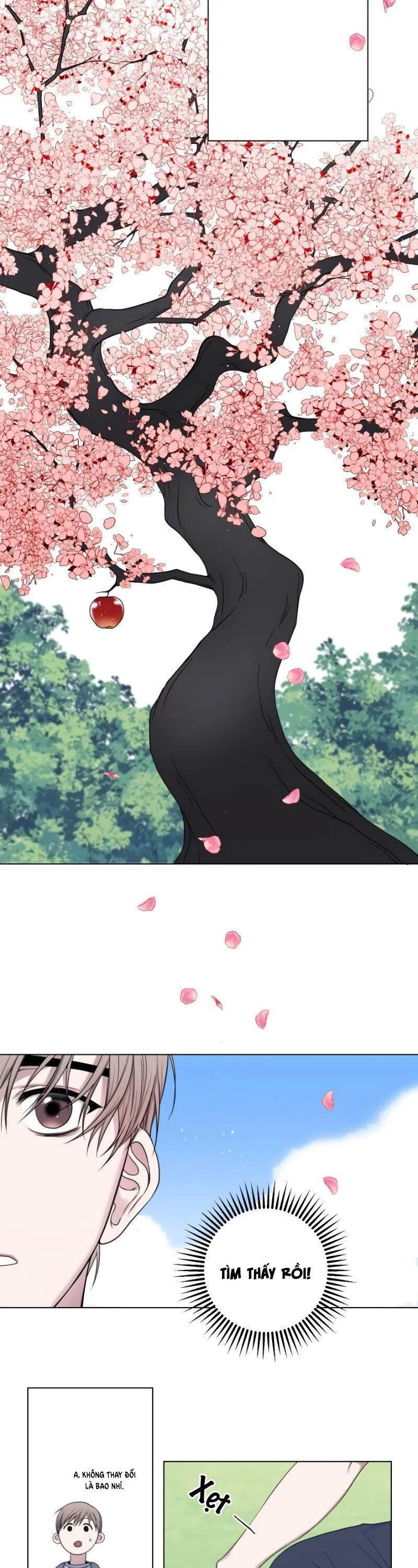 Tuyển Tập Manhwa 18+ Chapter 3 Trang 11