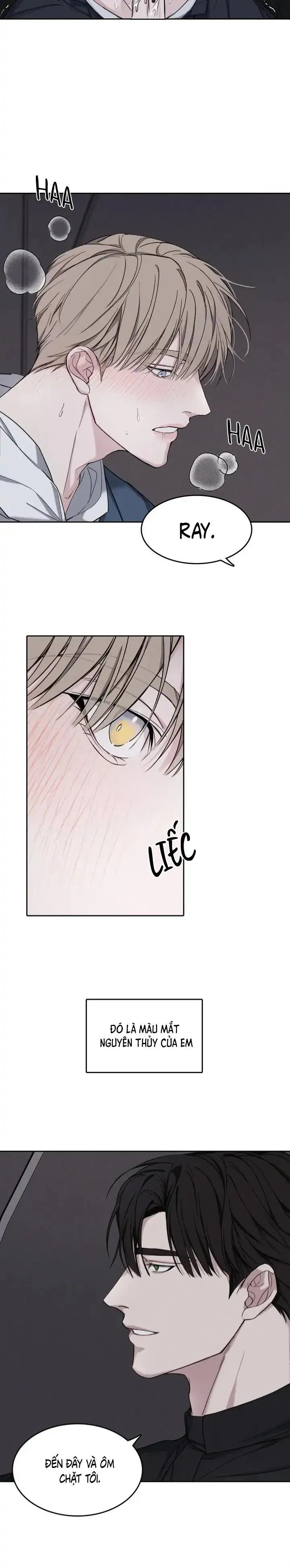 Tuyển Tập Manhwa 18+ Chapter 54 Trang 24