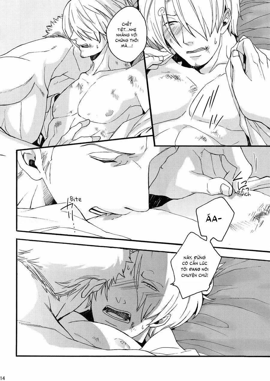 Tuyển tập Onepiece Chapter 14 Trang 13