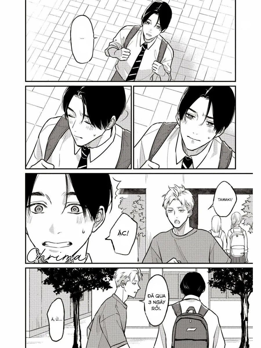 (END) Usagi no Mori Chapter 12 Trang 7