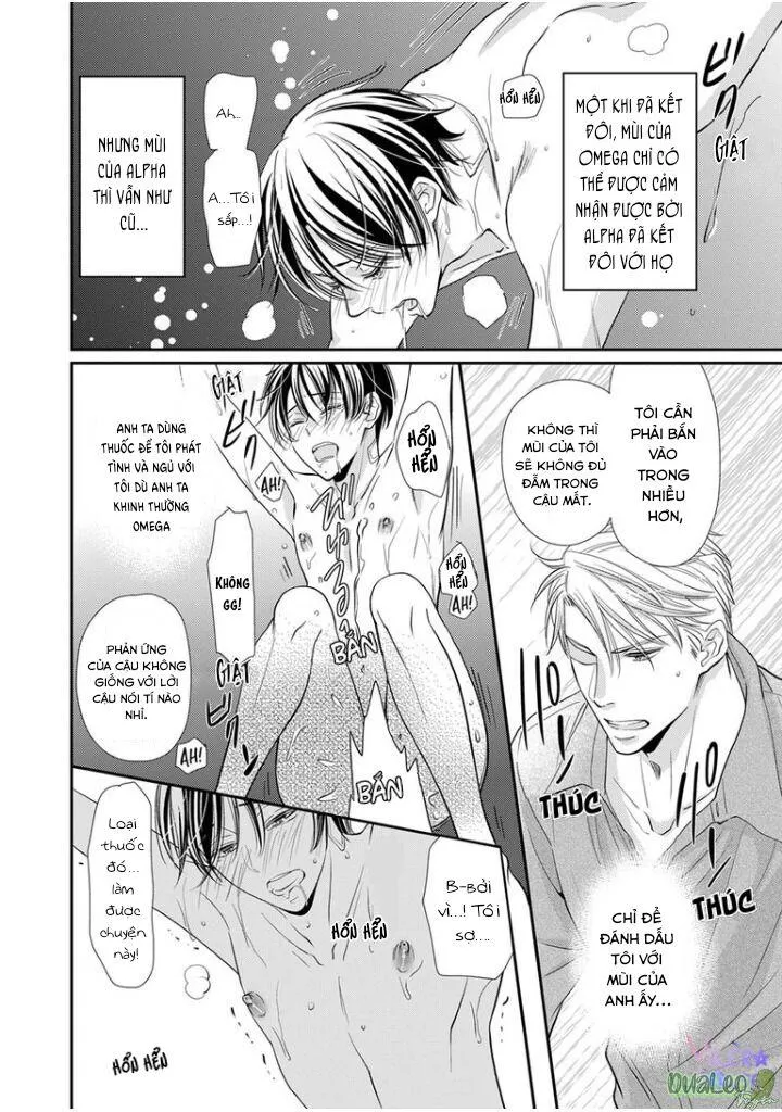 Bạn Đời Dối Trá Chapter 2 Trang 4