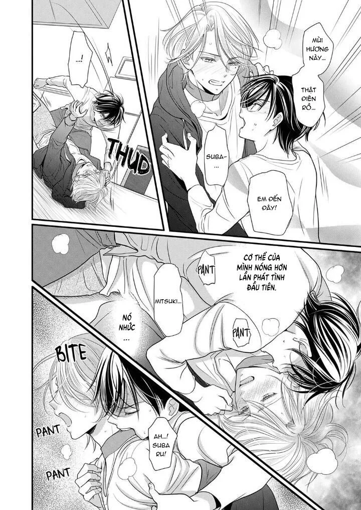 Bạn Đời Dối Trá Chapter 19 Trang 24