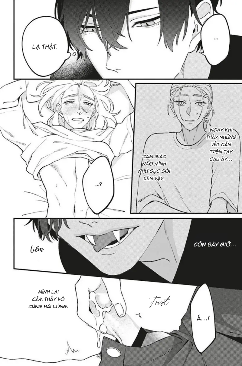 Vết Cắn Và Ánh Huỳnh Thạch Chapter 3 Trang 19