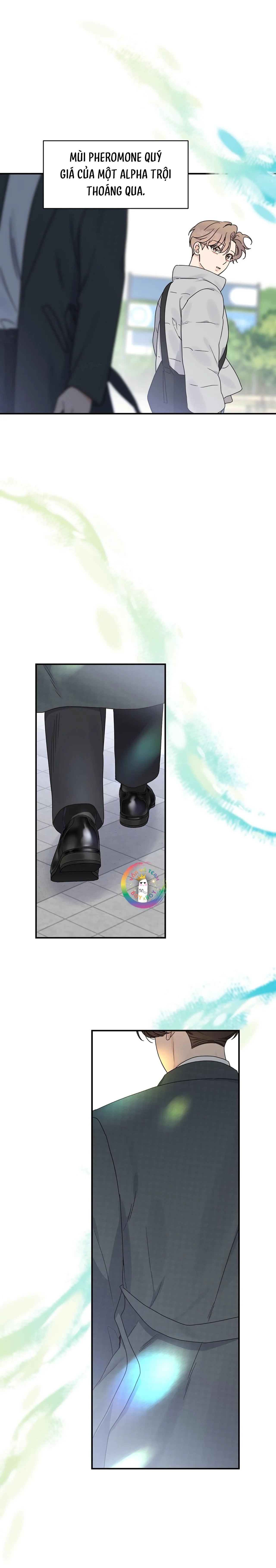 ✿ Vết Thương Alpha ✿ Chapter 2 Trang 19