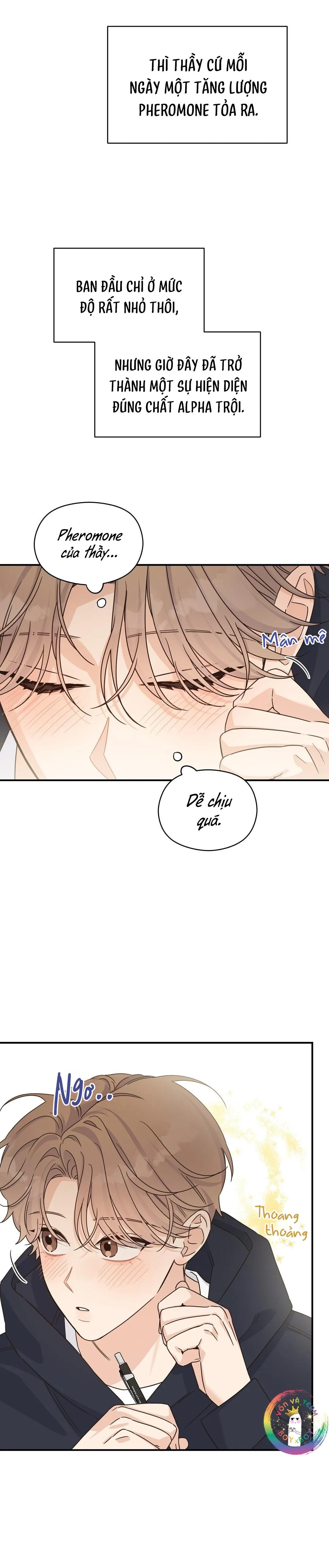 ✿ Vết Thương Alpha ✿ Chapter 15 Trang 4