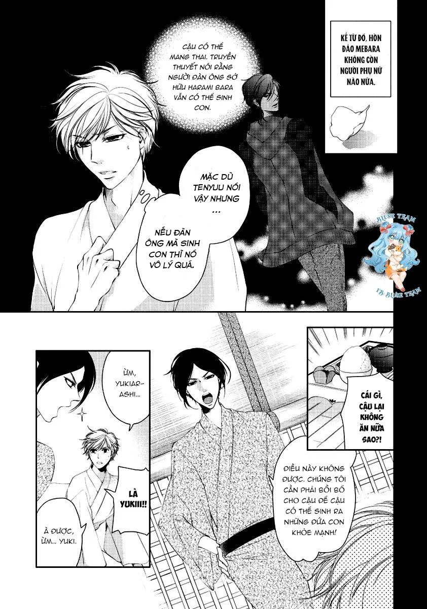 Full Bí Mật Của Hoa Hồng Harami Chapter 2 Trang 4