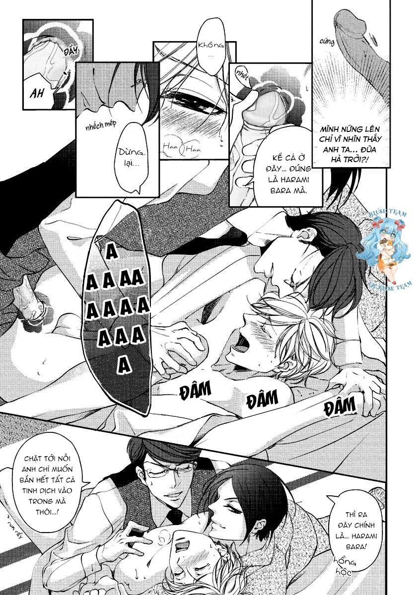 Full Bí Mật Của Hoa Hồng Harami Chapter 2 Trang 12