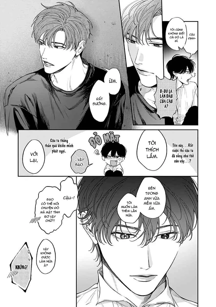 Viên Grarnet Trong Bóng Tối Chapter 3 Trang 8