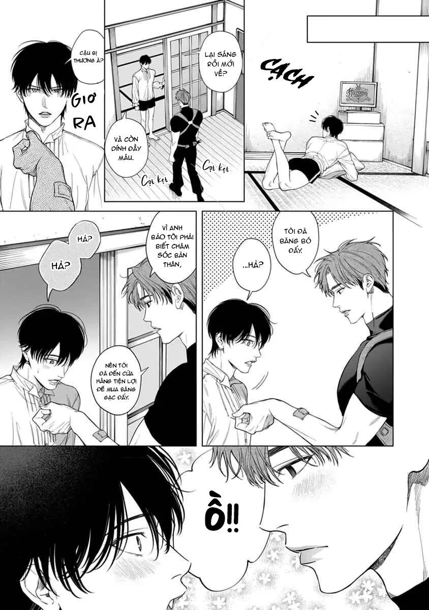 Viên Grarnet Trong Bóng Tối Chapter 4 Trang 13