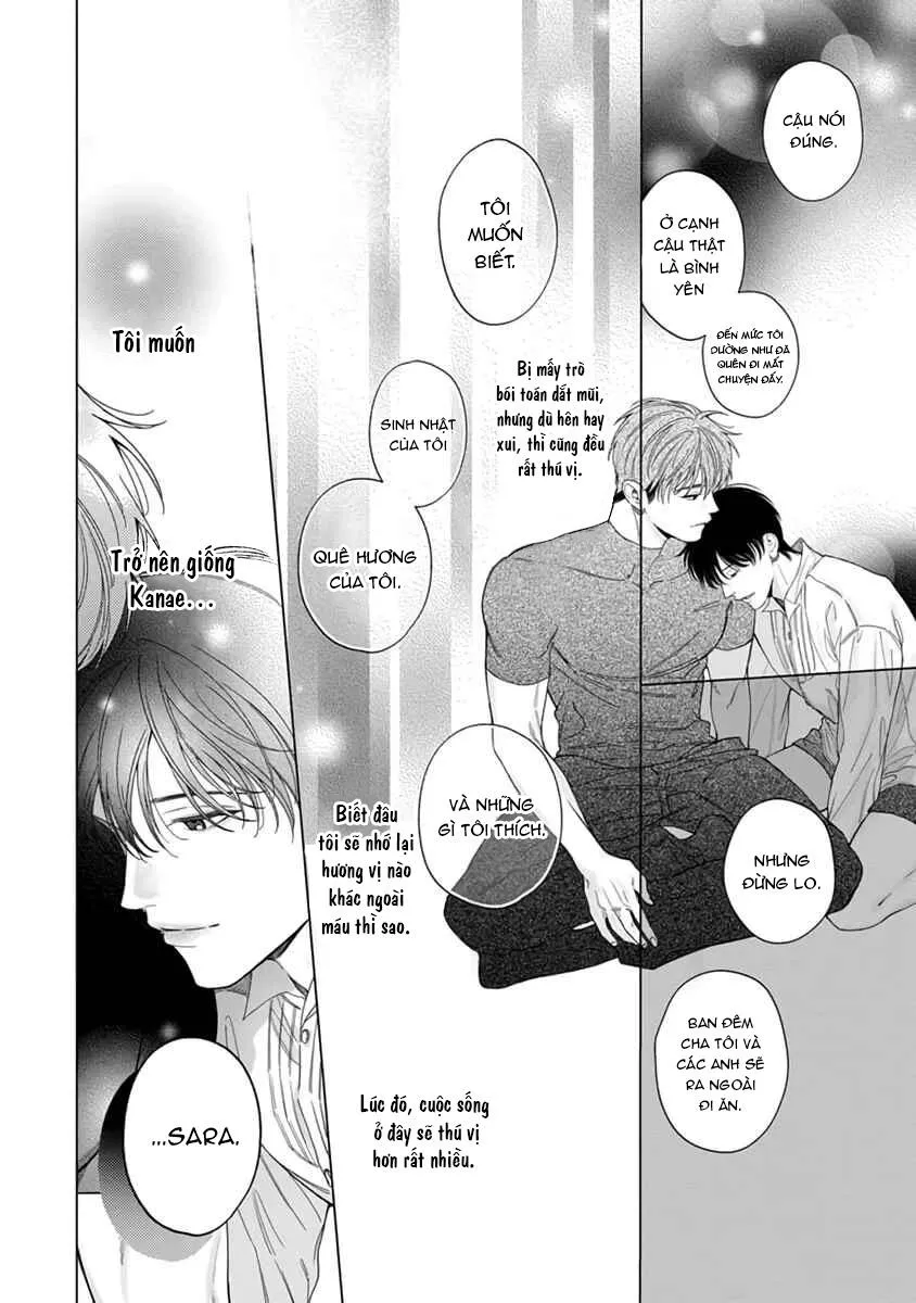 Viên Grarnet Trong Bóng Tối Chapter 4 Trang 18