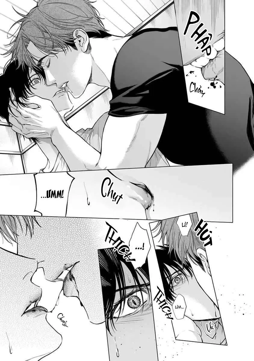 Viên Grarnet Trong Bóng Tối Chapter 5 Trang 13